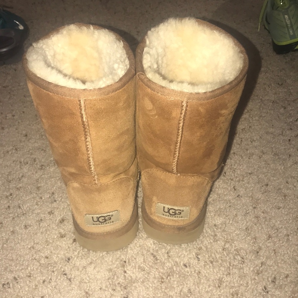 Tan Uggs